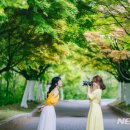 대표코스/역사관광코스/테마관광코스 이미지