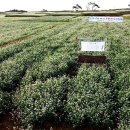 샬롬민박 이미지