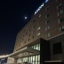 초원모텔 | [군산] 에이본호텔 슈페리어 더블 주말 숙박 후기(조식 포함)