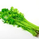 미나리슈퍼 이미지