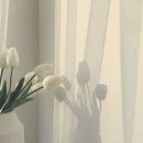 럽잇(Love it) 이미지