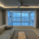 호호용담 이미지