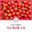 산마루영농조합법인 이미지