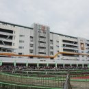 경마장 이색데이트 렛츠런파크 초보자 베팅 성공