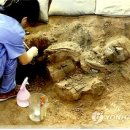 상생(相生) 이미지