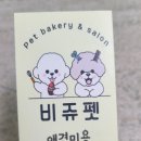 비쥬펫 이미지