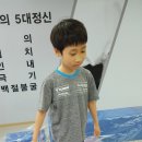 용인대용전태권도 이미지