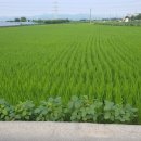 곡천농장 이미지