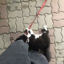 부림카센타 이미지