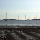 영흥도·선재도·대부도·구봉도