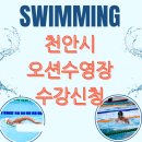 천안실내수영장 | 천안 오션수영장 솔직후기 해수풀 수질부터 강습까지 직접 다녀온 느낌은?