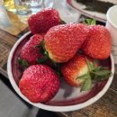 감동마을 | [논산 맛집] 사장님 인심에 감동하고 온 '느린촌 고기마을' (내돈내산 솔직후기) 🥩