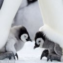 에이블학원 이미지