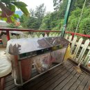 숲속의 하얀펜션 이미지