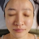 살롱드 비비