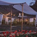 정원산책 카페 이미지