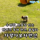 가보자 | [가평] 가평 가보자 펜션 동관 독채 후기! + 수영장, 운동장 후기