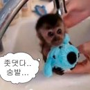 예 뭐....1차를 다시 봤습니다