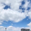 세종청사 13동 이미지