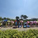 정자세천 이미지