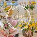 평택5로 | 평택 합정동 트렌드한 꽃다발을 찾는다면 바로 여기! 꽃담 방문 및 스몰 꽃다발 후기