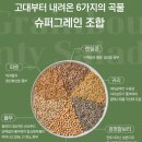 알뜰슈퍼 | 프리미엄 자연 한끼 슈퍼곡물샐러드 저속노화 다이어트 식단관리 냉동 포케 도시락 후기