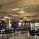 할로인풍 이미지