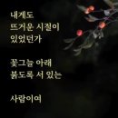 윤심덕의 사의찬미(원곡.다뉴브강의 잔물결.) 이미지