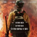 더온리 티스토리