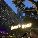 Beach Beer(비치비어) 이미지