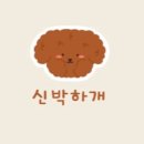 신박하개 이미지