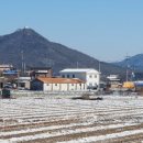 구정미곡처리장 이미지