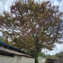 온곡마을 이미지