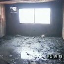 씨랜드 이미지