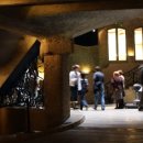 코끼리 환경 이미지