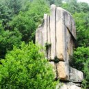 황정리 대흥사 위 이미지