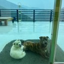 스테이지산 | 템플스테이 추천 5월 할인 정보ㅣ가평 대원사 1박2일 체험형 후기