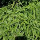 흥양주유소 이미지