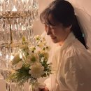 타이디앤 | 달리호텔, 어깨 셔링 포인트 리본 스카프 블라우스 내돈내산 후기 / 지그재그 링크