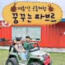 조남농장 | [ 꿈꾸는 파브르 ] 김포 아이와 가볼 만한 곳 : 곤충체험 곤충채집 곤충표본 만들기