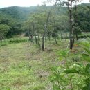 행복이발 이미지