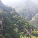 두타민박 이미지