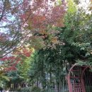 중앙공원 산책로 이미지