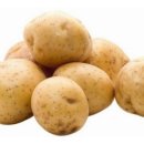 들꽃농장 이미지