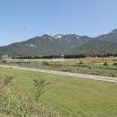 탑월드 공인중개사사무소 이미지