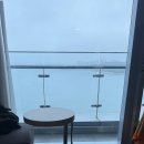 돌문어회관 이미지