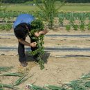 찬영농장 이미지