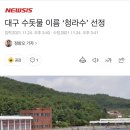 대구시 수돗물 새이름 “청라수” 이미지