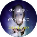 센신 이미지