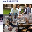 24년 한국관광대학교 특성화대학 수시등급,전문대 수시접수 경쟁률 이미지